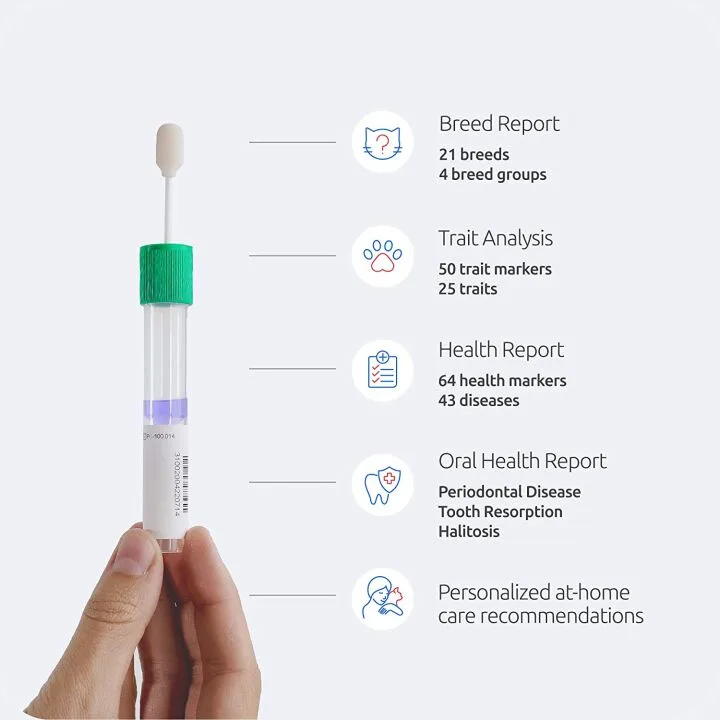 Basepaws Cat DNA Test for Health & Breed Discovery