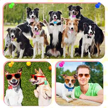 Customizable Aluminum Dog Tags for Pets