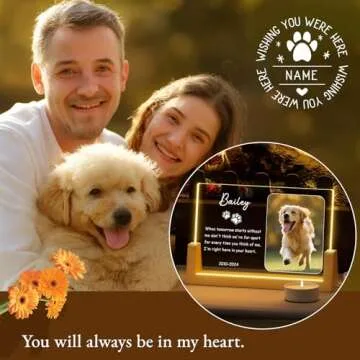 Bemaystar Personalized Pet Memorial Night Light Gift
