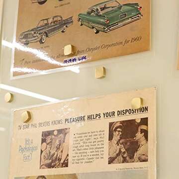 Refrigerator Magnets, 0.6", Brass, Office Magnets,Whiteboard Magnets, 8 Pack,Cristmas Gift