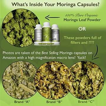 A Healthy Leaf Organic Moringa Capsules - Vibrant Green | Moringa Capsules Organic | 100% Pure Morin...