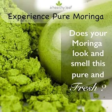 A Healthy Leaf Organic Moringa Capsules - Vibrant Green | Moringa Capsules Organic | 100% Pure Moringa Leaf Capsules | Energy & Immune System Support