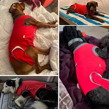 Dog Recovery Suit Comfortable Post-Surgery Solution XL