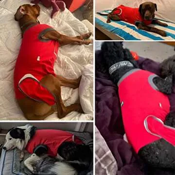 Dog Recovery Suit Comfortable Post-Surgery Solution XL