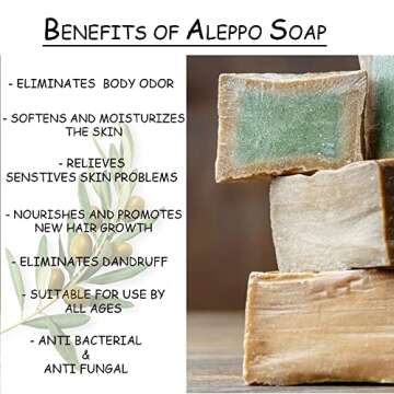 Aleppo Soap (2 Pack)%20 Laurel Oil,%80 Olive Oil
