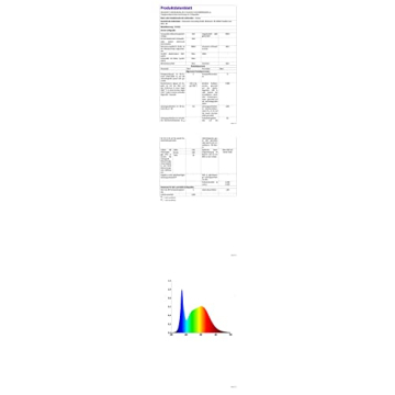 LED Neon Light Sign for Home and Party Decor