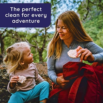 Wet Ones Plant Based Antibacterial Hand Wipes 20 Count | Travel Essential