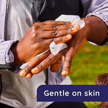 Wet Ones Plant Based Antibacterial Hand Wipes 20 Count | Travel Essential