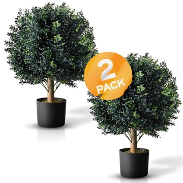 BOTARO TRESIL Set of 2 Pre-Potted Boxwood Topiary