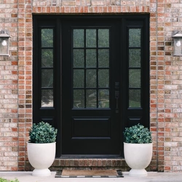 BOTARO TRESIL Set of 2 Pre-Potted Boxwood Topiary