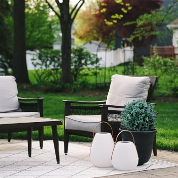 BOTARO TRESIL Set of 2 Pre-Potted Boxwood Topiary