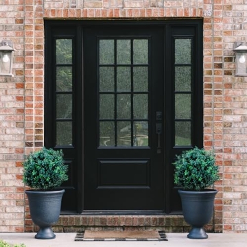 BOTARO TRESIL Set of 2 Pre-Potted Boxwood Topiary