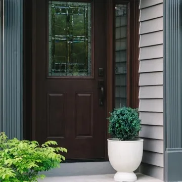 BOTARO TRESIL Set of 2 Pre-Potted Boxwood Topiary