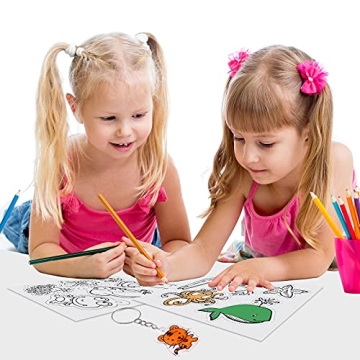 ASTARON 168 Pcs Shrink Plastic Kit for Kids & Adults