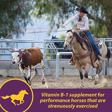 Farnam Horse Health Vita B-1 Crumbles Supplement for Horses, Supports optimal muscle activity and me...