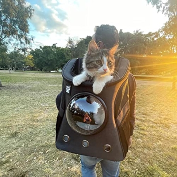 Fat Cat Backpack Carrier - Stylish and Comfortable Cat Travel Solution