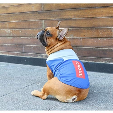 iChoue Cooling Shirt for Dogs with UV Protection