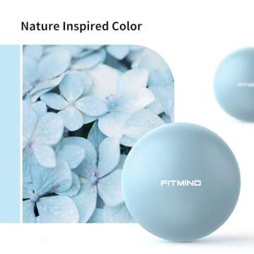 FITMIND 10-Inch Pilates Ball for Yoga and Fitness Core Strength