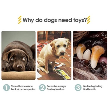 Roloiki Squeaky Dog Toys for Small Medium Dogs