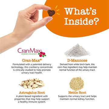 Zesty Paws Cranberry Supplement for Dogs - Bladder Control for Dogs - Urinary Tract Support - Cranberry Chews with D-Mannose, Vitamin B6 & L-Arginine - Immune & Gut Support - Bacon - 90 Count