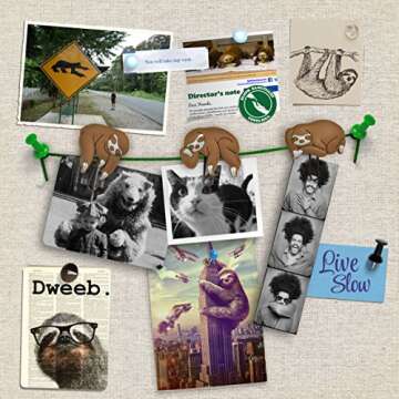 Genuine Fred Sloths on a Vine Picture Hangers, Set of 6