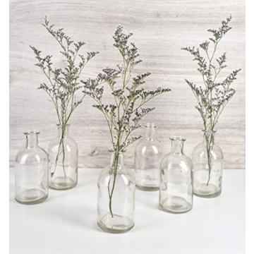 Serene Spaces Living Bud Vases for Home Decor and Weddings