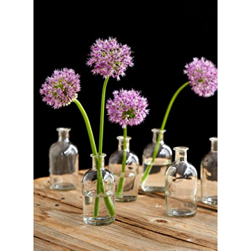 Serene Spaces Living Bud Vases for Home Decor and Weddings
