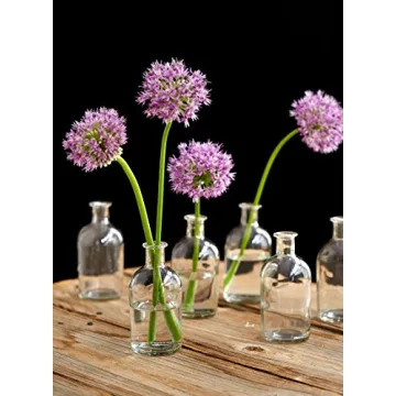 Serene Spaces Living Bud Vases for Home Decor and Weddings
