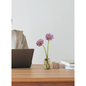 Serene Spaces Living Bud Vases for Home Decor and Weddings