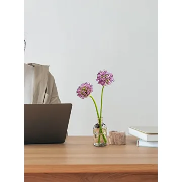 Serene Spaces Living Bud Vases for Home Decor and Weddings