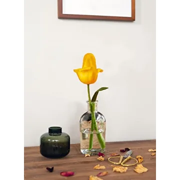 Serene Spaces Living Bud Vases for Home Decor and Weddings