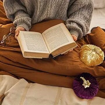 Orgrimmar Velvet Pumpkins for Fall Home Decor