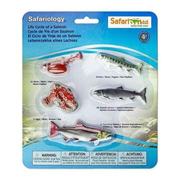 Safari Ltd Safariology Collection - Realistic Life Cycle of a Salmon Set - 5 Separate Pieces in Set - Non-toxic and BPA Free - Ages 3+