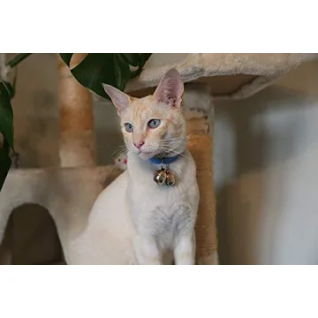 Luxury Handmade Copper Bells for Dogs & Cats | Save Wildlife