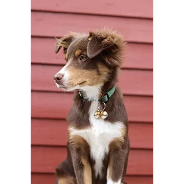 Luxury Handmade Copper Bells for Dogs & Cats | Save Wildlife