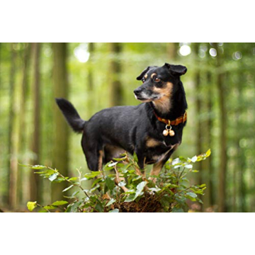 Luxury Handmade Copper Bells for Dogs & Cats | Save Wildlife