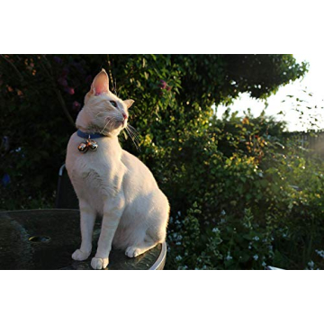 Luxury Handmade Copper Bells for Dogs & Cats | Save Wildlife