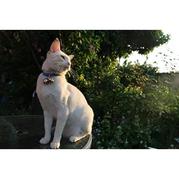 Luxury Handmade Copper Bells for Dogs & Cats | Save Wildlife