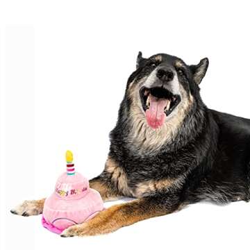 Midlee 2 Layer Birthday Cake 7" Tall Dog Toy (Pink)