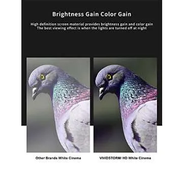 VIVIDSTORM Motorized Projector Screen Ideal for Home Cinema