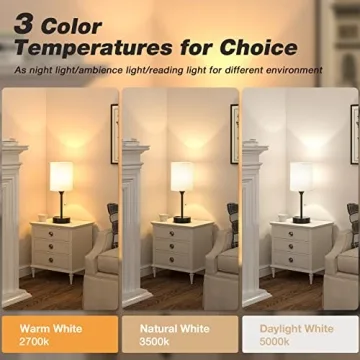 Small Bedside Table Lamp with USB Ports and 3 Color Options