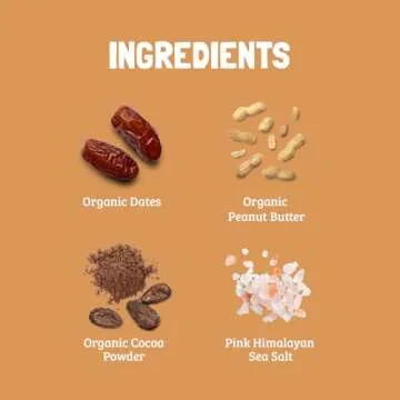 Skout Organic Chocolate Peanut Butter Kids Snack Bars (18 Pack) | Organic Kids Snack Bars | School Snacks & Lunch Snacks | No Refined Sugar | Vegan & Paleo | Gluten, Dairy, Grain Free