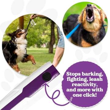 The Doggie Don't Device, Rechargeable, Safe, Easy, Non-Shocking, Sound Only Dog Training Tool - Stop Unwanted Behaviors, Barking, Jumping up with a Loud Sound