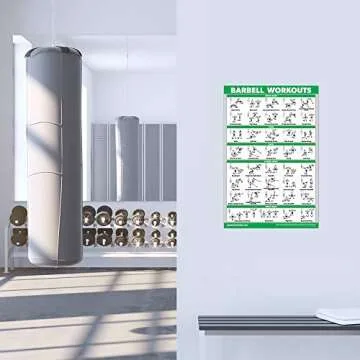 10 Pack Exercise Poster Set for Gym & Home Use