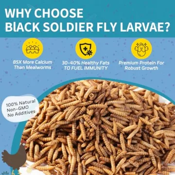 OHNAME 5LB Dried Black Soldier Fly Larvae for Strong Eggs