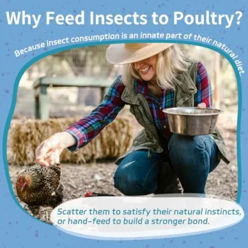 OHNAME Dried Black Soldier Fly Larvae - Nutrition for Chickens