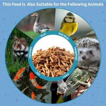 OHNAME Dried Black Soldier Fly Larvae - Nutrition for Chickens