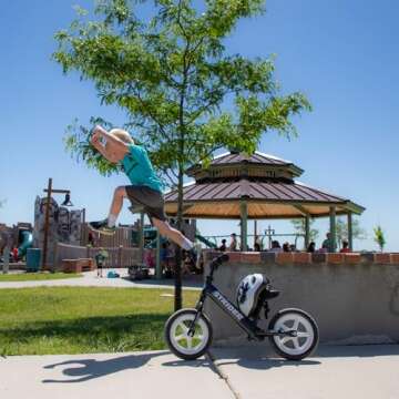 Strider 12" Pro Bike, Black Pearl - No Pedal Balance Bicycle for Kids 1 to 4 Years - Includes Safety Pad, Padded Seat, Mini Grips & Flat-Free Tires - Tool Free