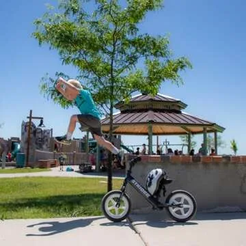 Strider 12" Pro Bike, Black Pearl - No Pedal Balance Bicycle for Kids 1 to 4 Years - Includes Safety Pad, Padded Seat, Mini Grips & Flat-Free Tires - Tool Free