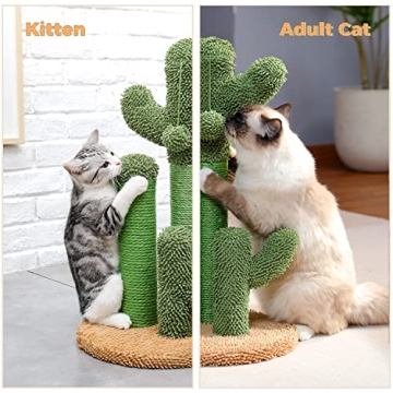 Stylish PAWZ Road Cat Scratching Post for All Cats
